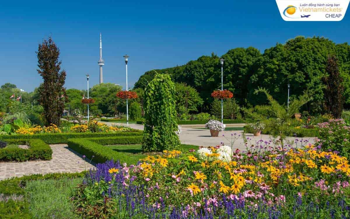 Toronto Islands view ngắm skyline đẹp nhất thành phố