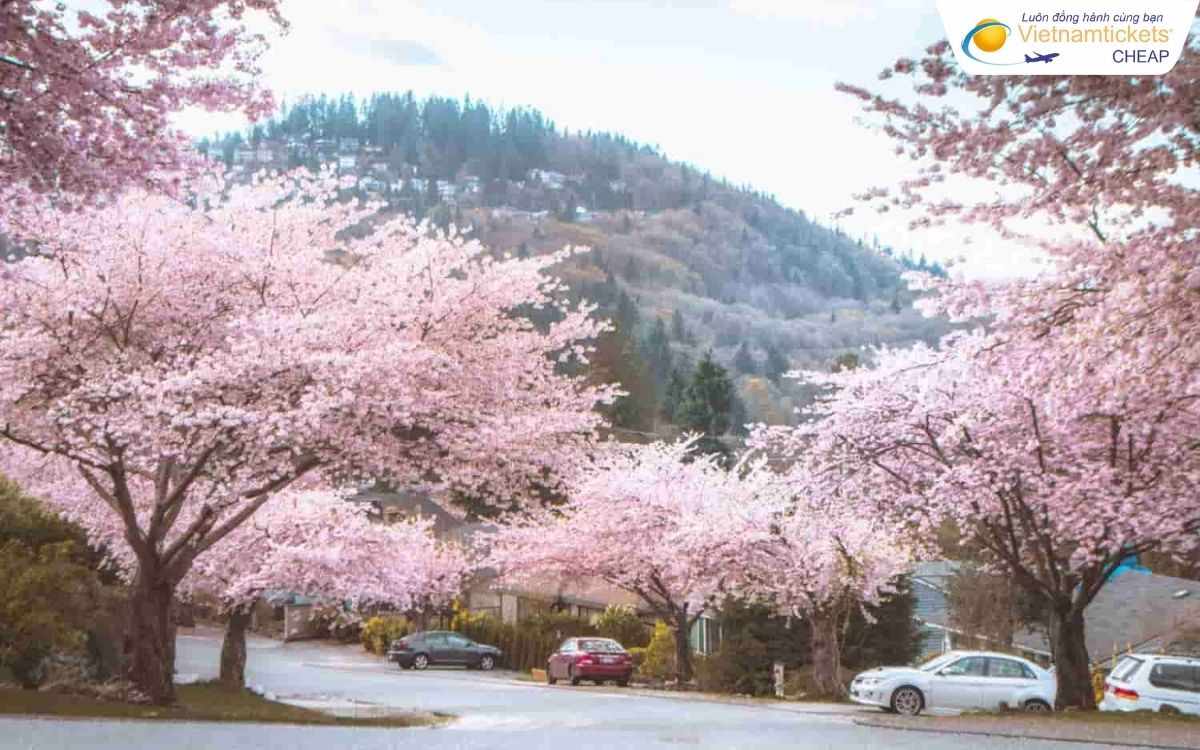 Chi phí du học Canada so sánh với các quốc gia khác