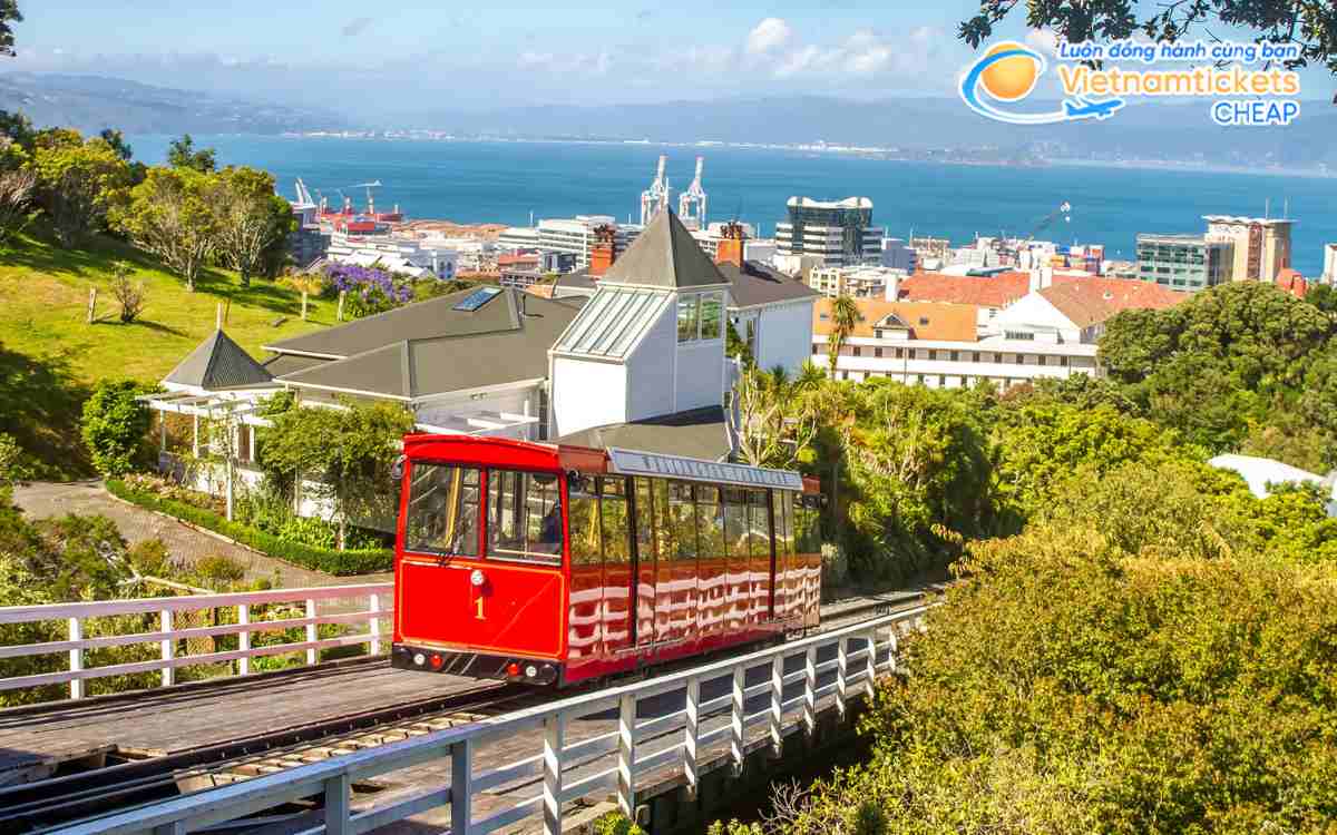 Trải nghiệm cáp treo Wellington