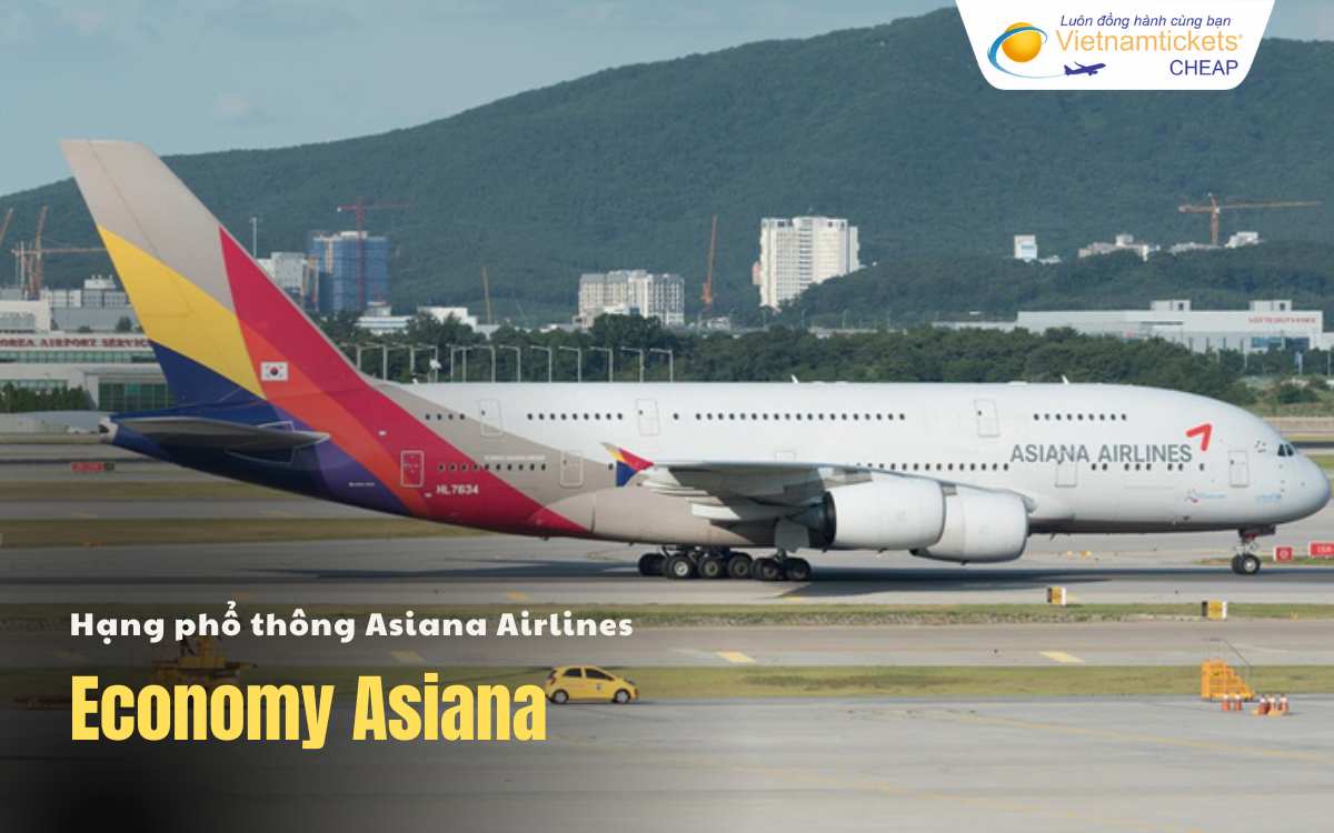 Hãng Economy Asiana Airlines