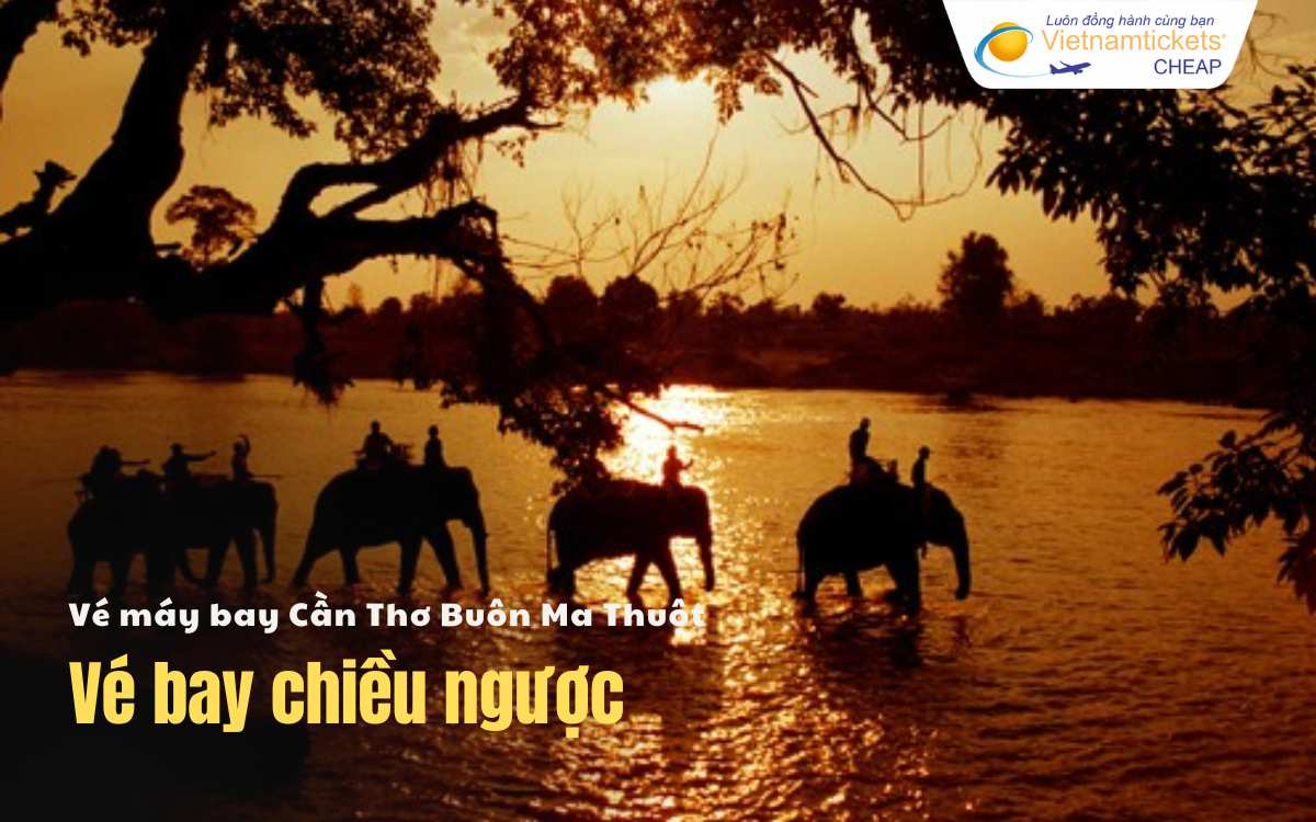 Vé bay chiều ngược Cần Thơ Buôn Ma Thuột