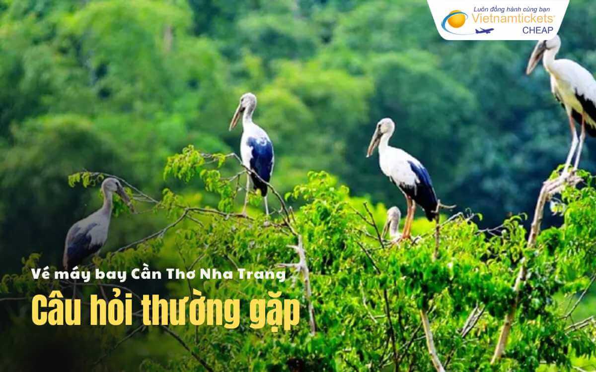 Câu hỏi thường gặp Cần Thơ Nha Trang