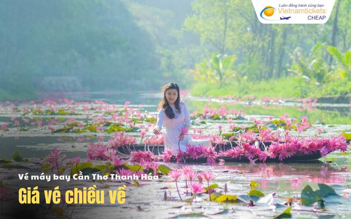 Giá vé chiều về Cần Thơ Thanh Hóa 
