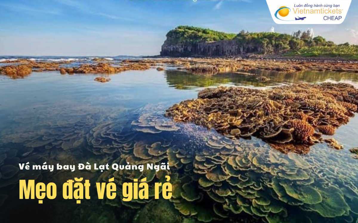Mẹo đặt vé Đà Lạt Quảng Ngãi