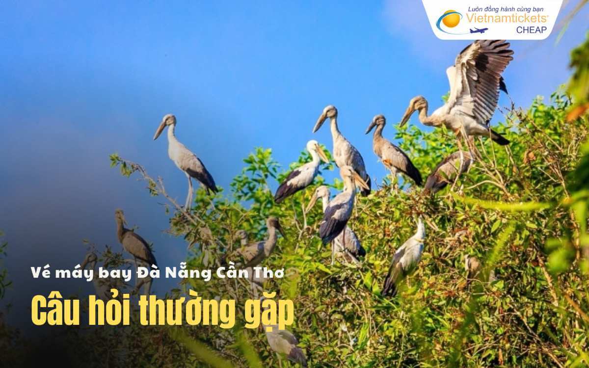 Câu hỏi thường gặp Đà Nẵng Cần Thơ