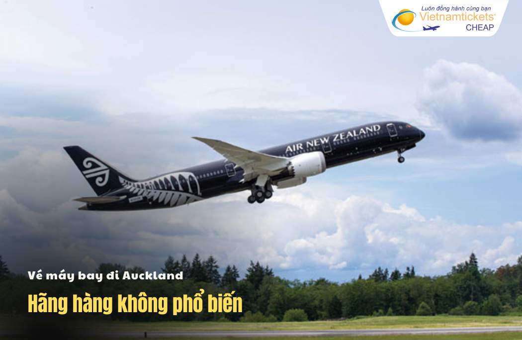 Hãng hàng không đi Auckland