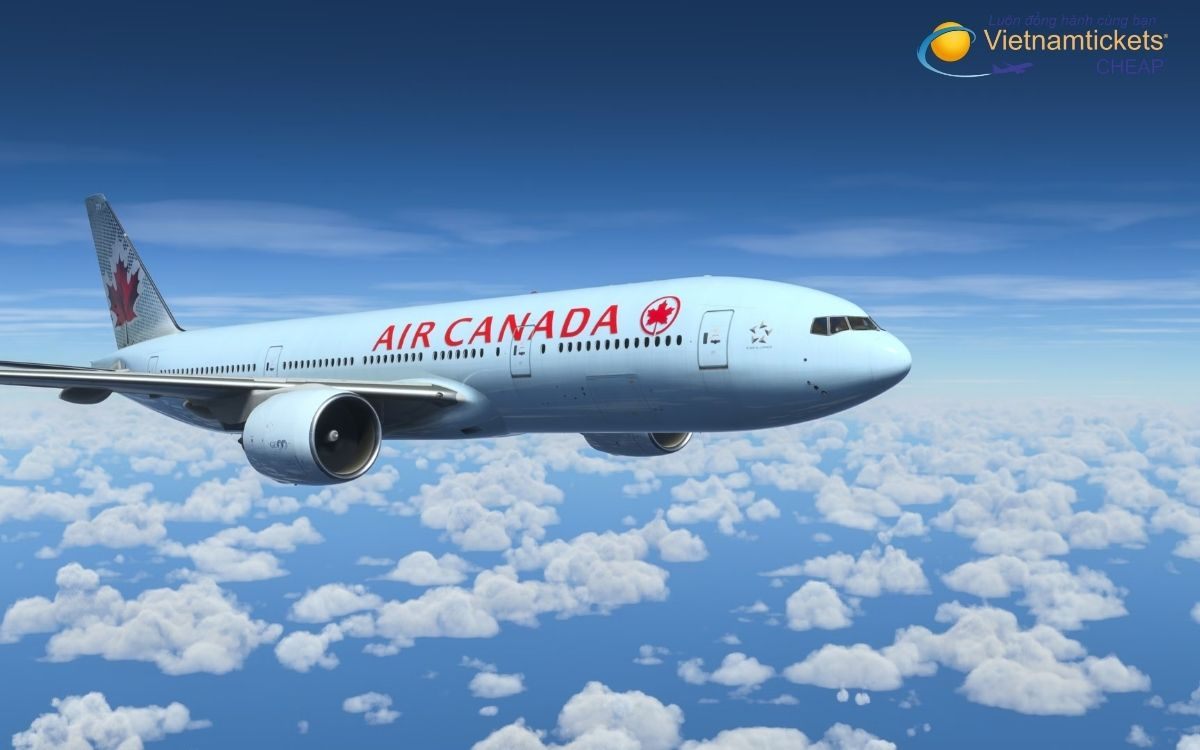 Hãng hàng không nào bay đi Banff hiện nay