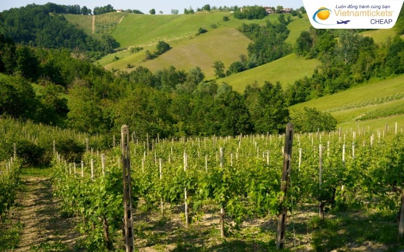 Thời điểm vé máy bay đi Campbellton rẻ nhất