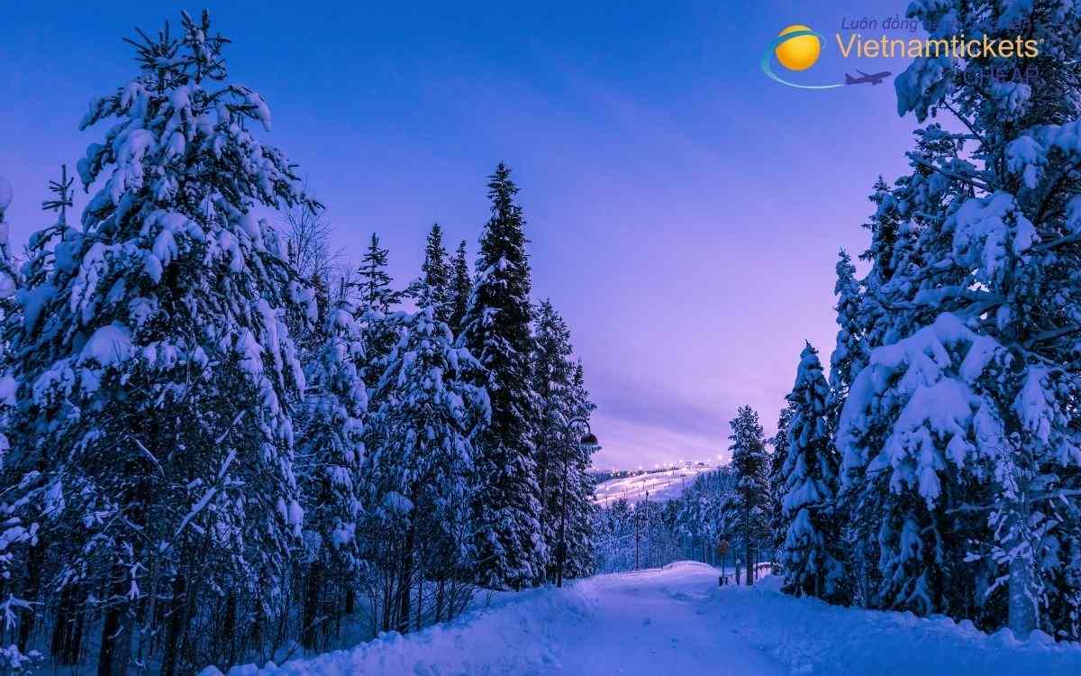 Lịch bay và thời gian bay đến Castlegar