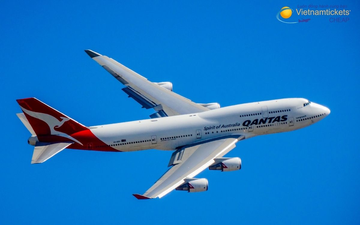 Hãng bay nào đi Cranbrook