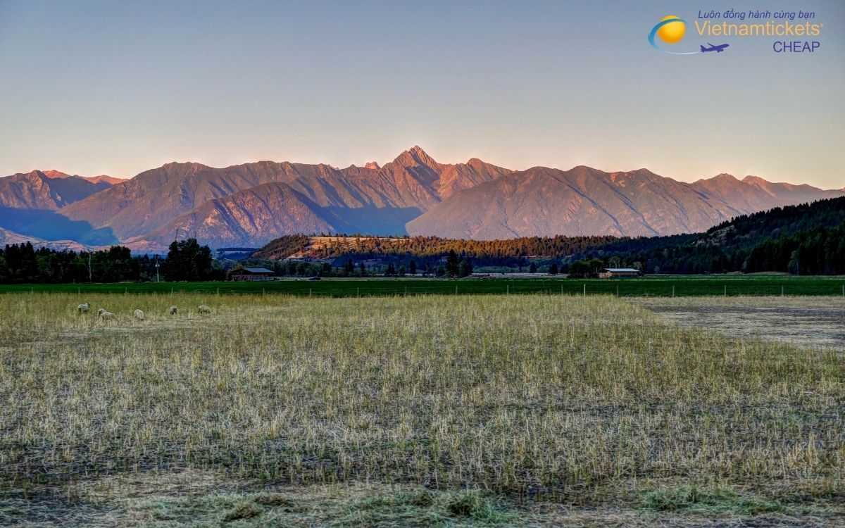 Lộ trình và thời gian bay đến Cranbrook