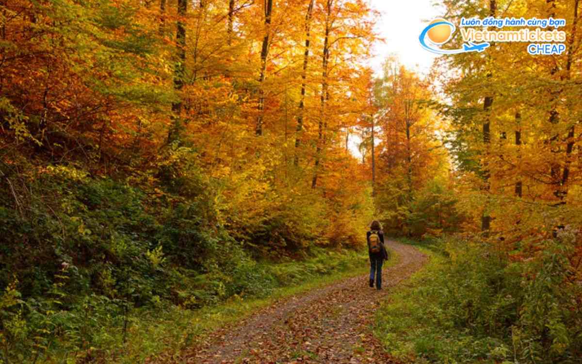 Săn v&eacute; cuối m&ugrave;a thu Freiburg im Breisgau
