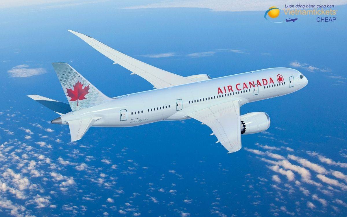 Bay đến Gander nên chọn hãng nào