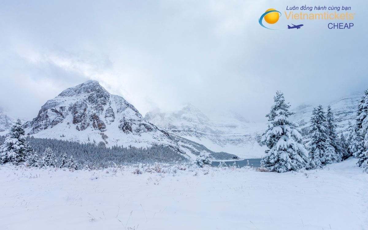 So s&aacute;nh gi&aacute; v&eacute; đi Gaspe v&agrave; c&aacute;c chặng bay quốc tế