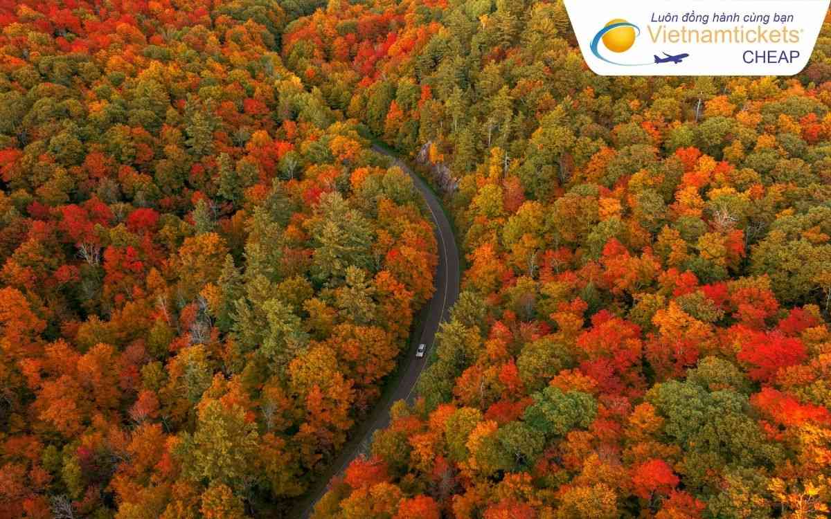 Kinh nghiệm đặt vé máy bay đi Gatineau an toàn