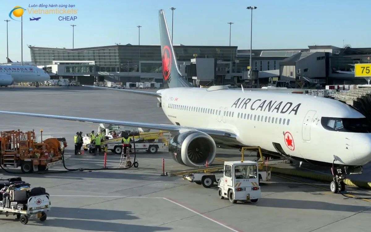 Hãng hàng không và lịch bay đến Grande Prairie mới nhất