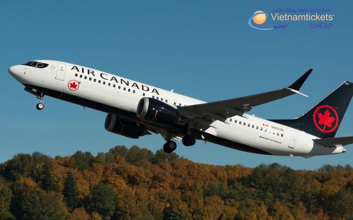 Hãng hàng không khai thác tuyến Việt Nam đi Hamilton