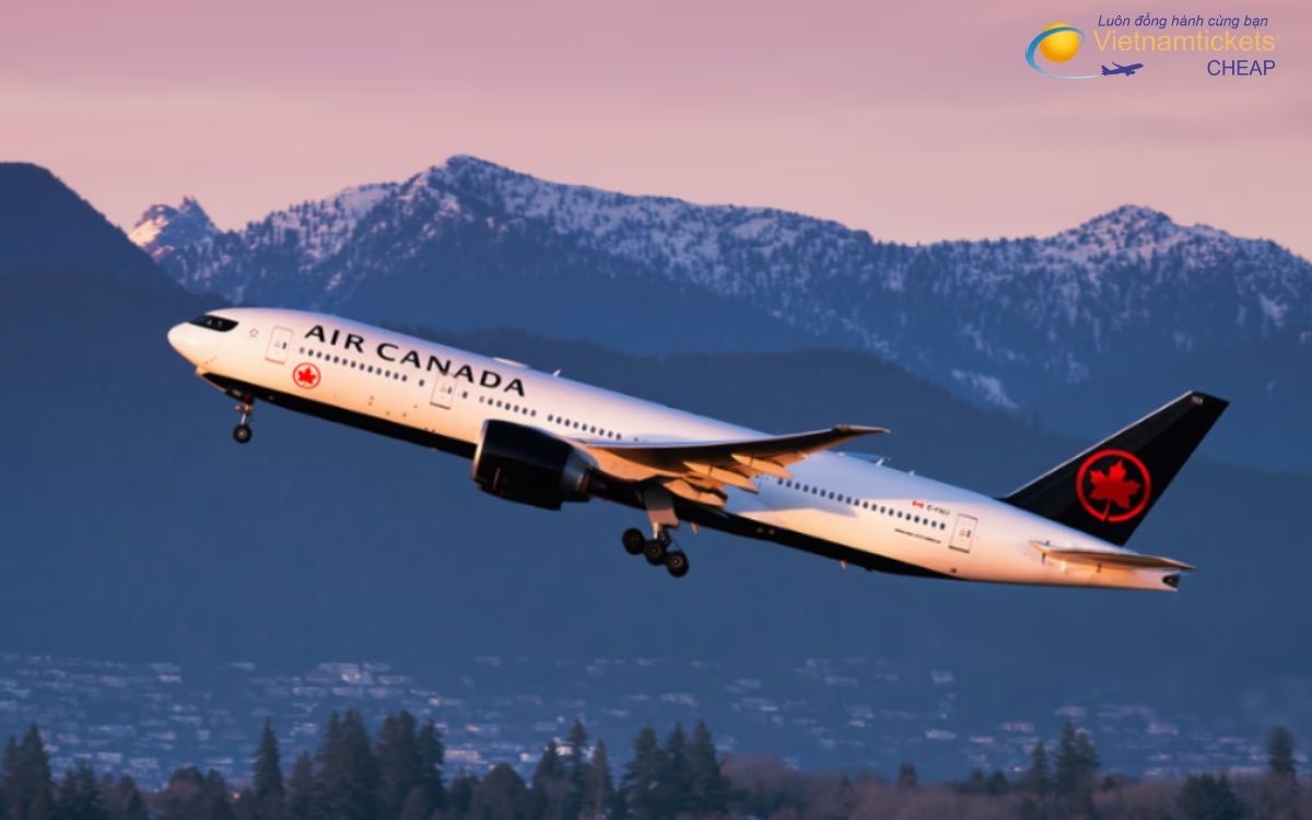 Hãng hàng không nào bay đi Lethbridge