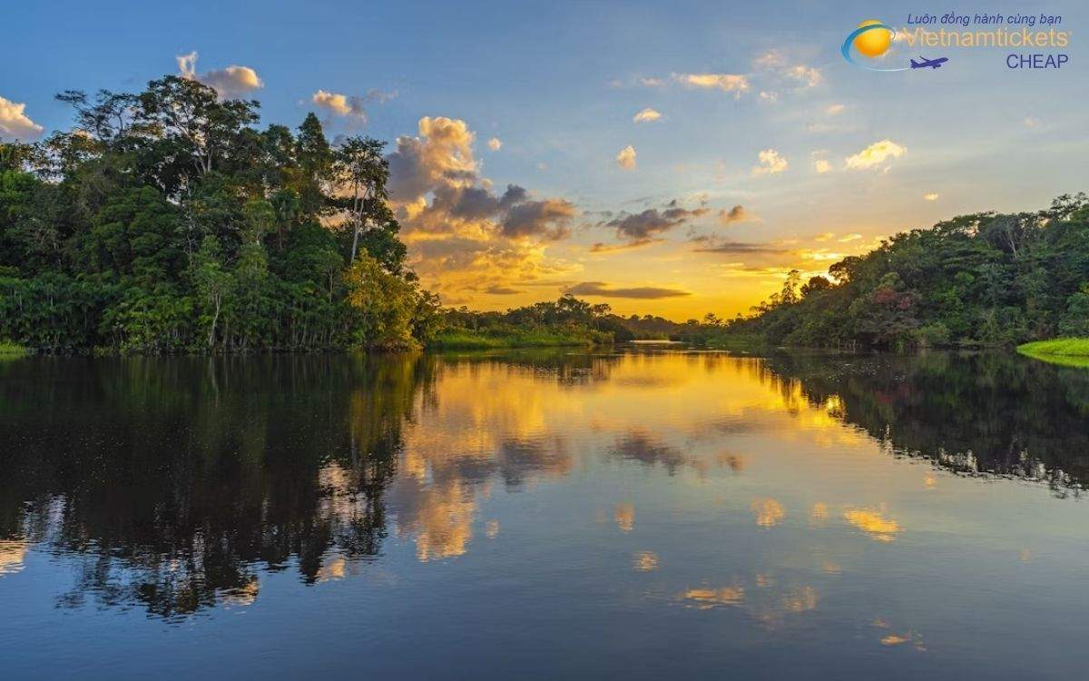 Những địa điểm tham quan khám phá nổi bật tại Manaus