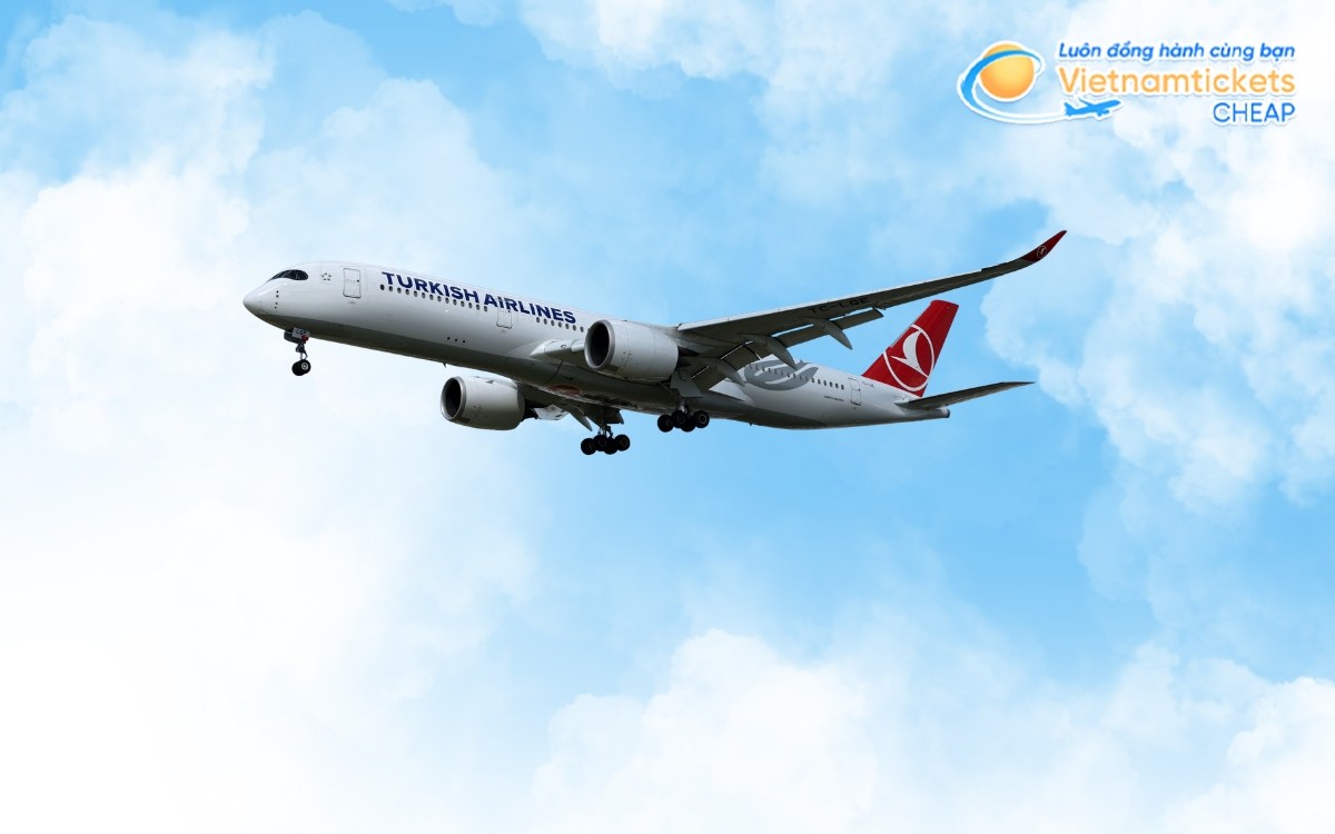 Turkish Airlines là hãng bay đi Mannheim có giá hợp lý