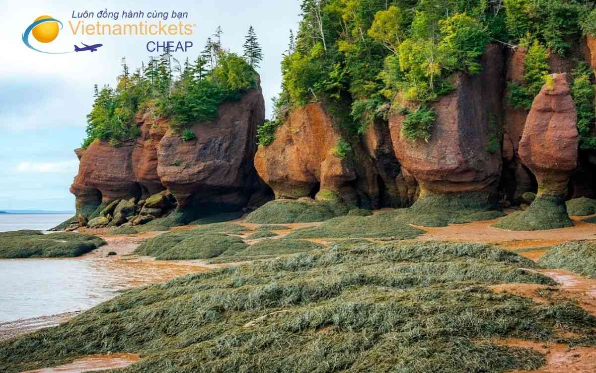 Kinh nghiệm săn vé giá rẻ đi Moncton