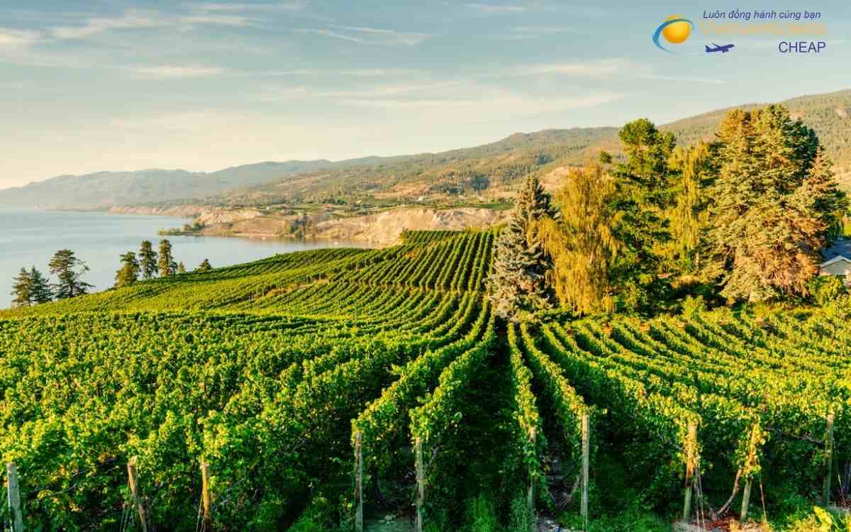 Giá vé máy bay đi Penticton bao nhiêu