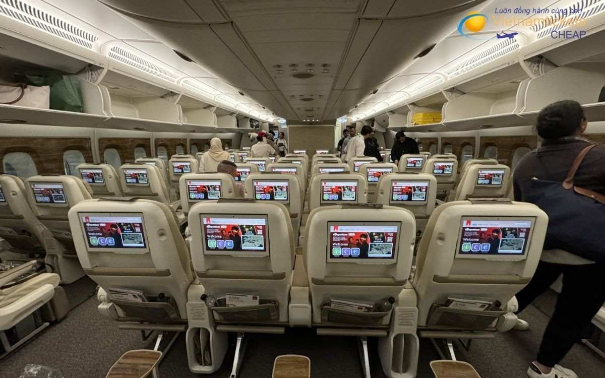 Hãng hàng không nào bay đến Recife