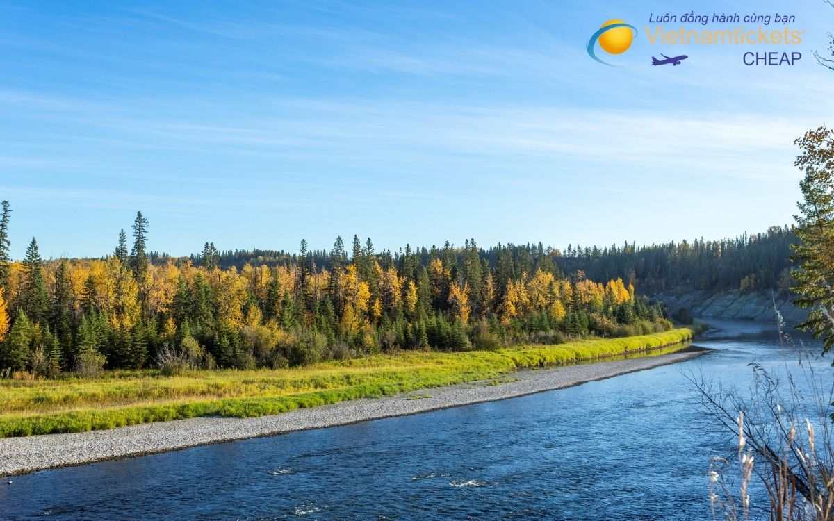 Kinh nghiệm săn vé máy bay giá rẻ đi Red Deer