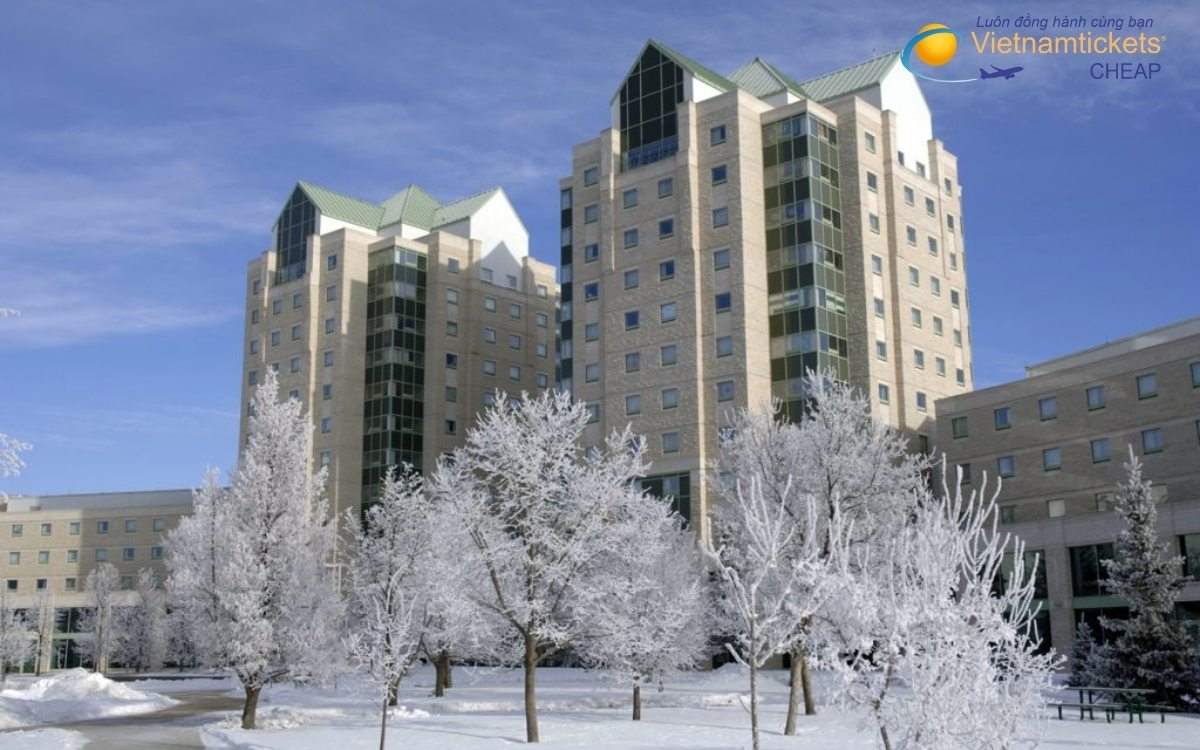 So sánh công cụ và nền tảng đặt vé uy tín