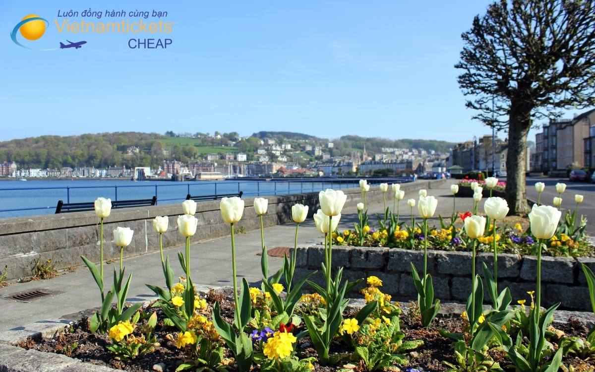 Hãng bay khai thác chuyến bay đi Rothesay