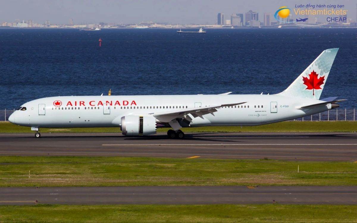 Hãng hàng không khai thác tuyến bay đến Selkirk