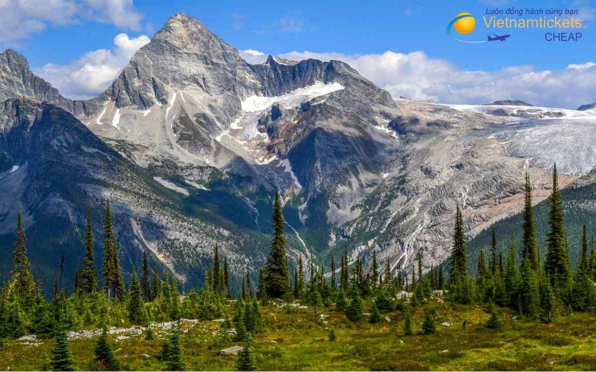 Lịch bay đến Selkirk hôm nay