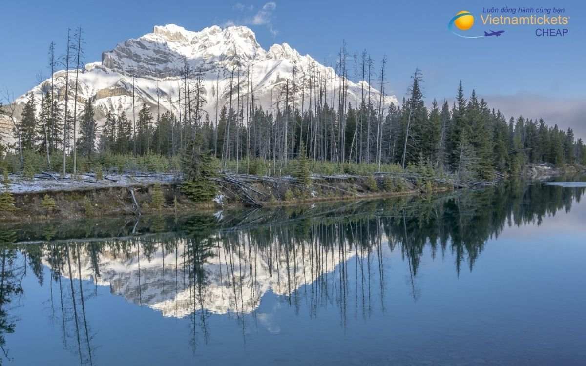 Hành trình bay từ Việt Nam đi Spruce Grove