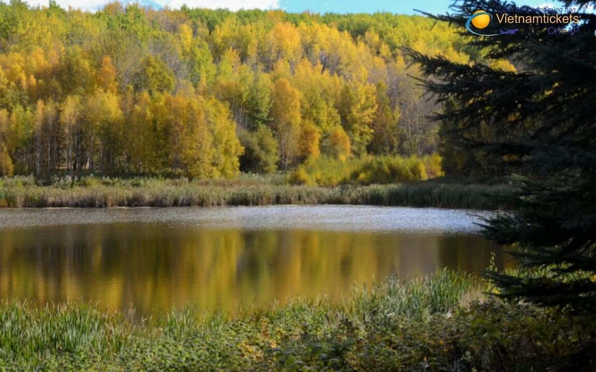 Kinh nghiệm săn vé đi Spruce Grove giá rẻ