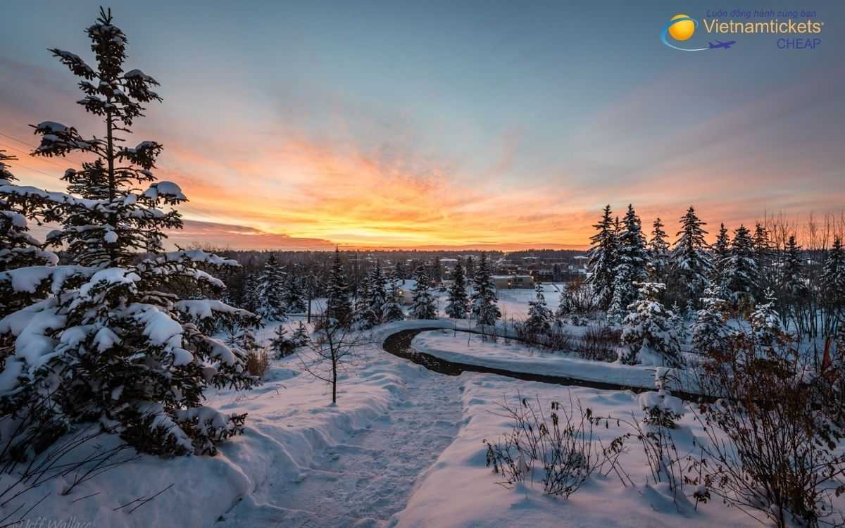 Kinh nghiệm săn vé máy bay đi St. Albert giá rẻ