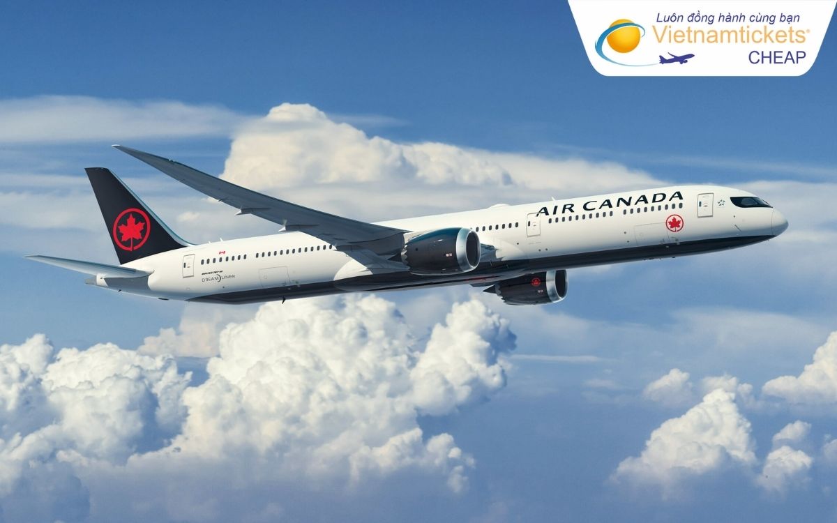 Hãng bay nào đến Steinbach