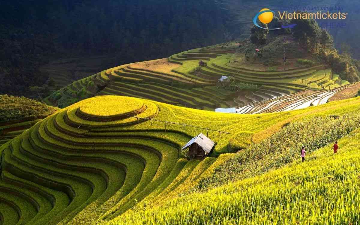 Tổng quan về sân bay Terrace và khu vực xung quanh