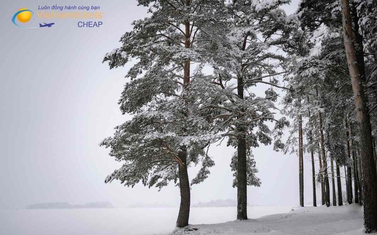 Liên hệ tư vấn và đặt vé máy bay đi Timmins