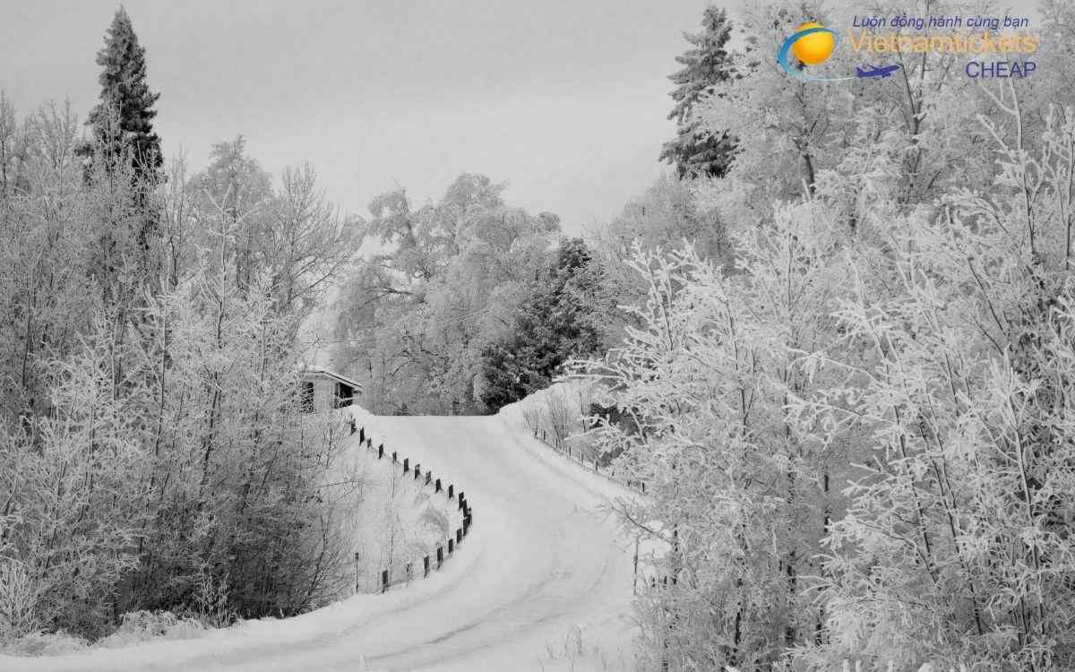 Lưu ý khi đặt vé máy bay đi Timmins