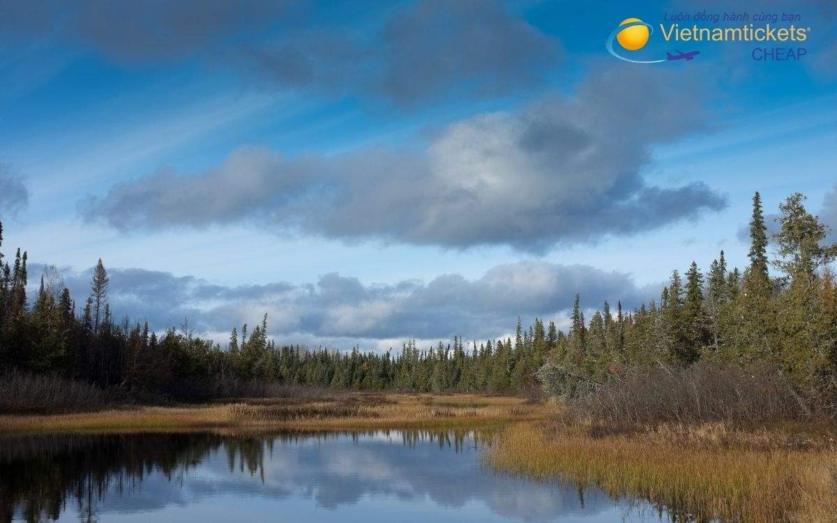 Mẹo săn vé máy bay đi Timmins giá rẻ