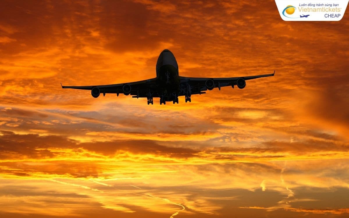 Hãng hàng không nào bay đi Trondheim