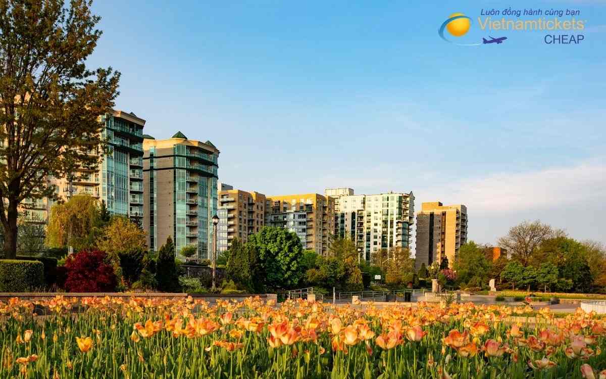 Li&ecirc;n hệ tư vấn v&agrave; đặt v&eacute; m&aacute;y bay đi Windsor