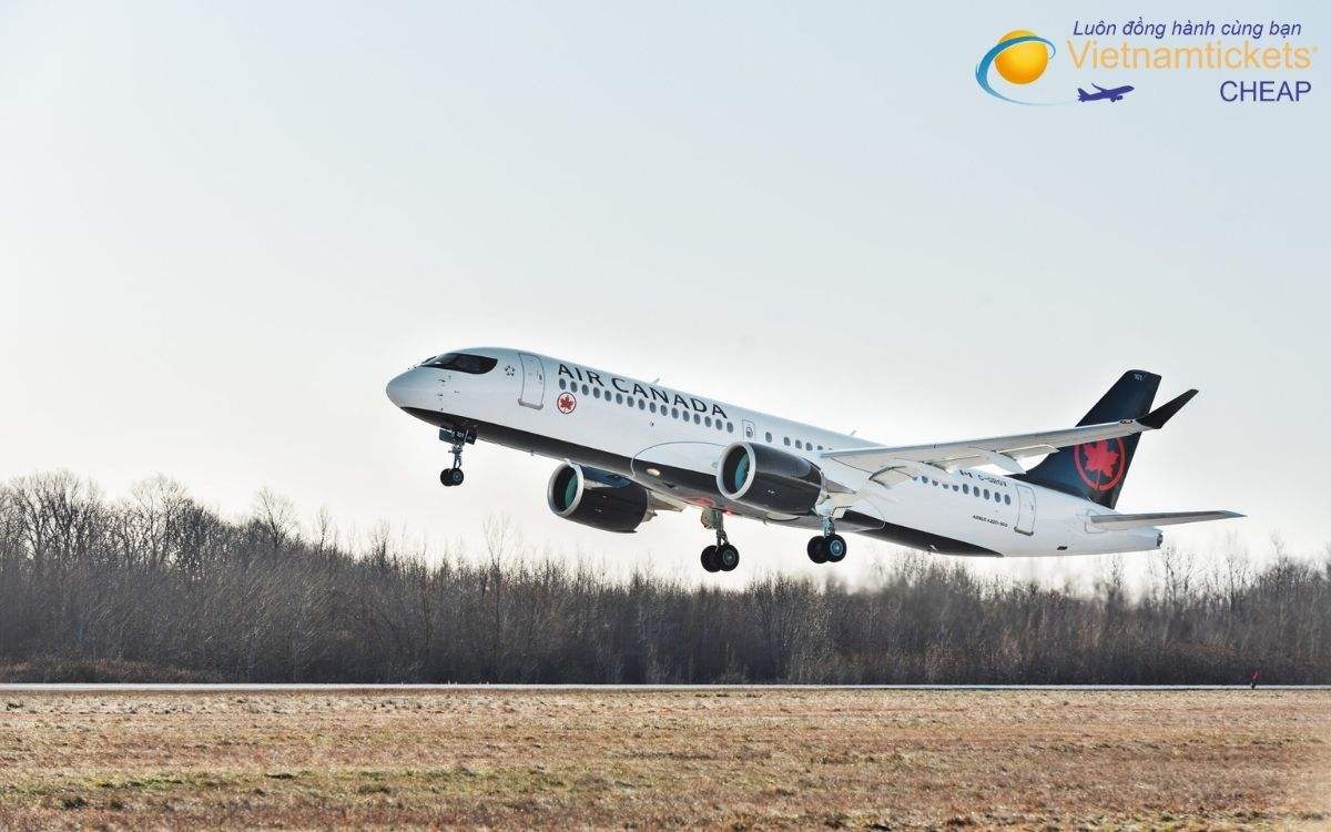 Hãng bay đi Winkler nào tốt nhất