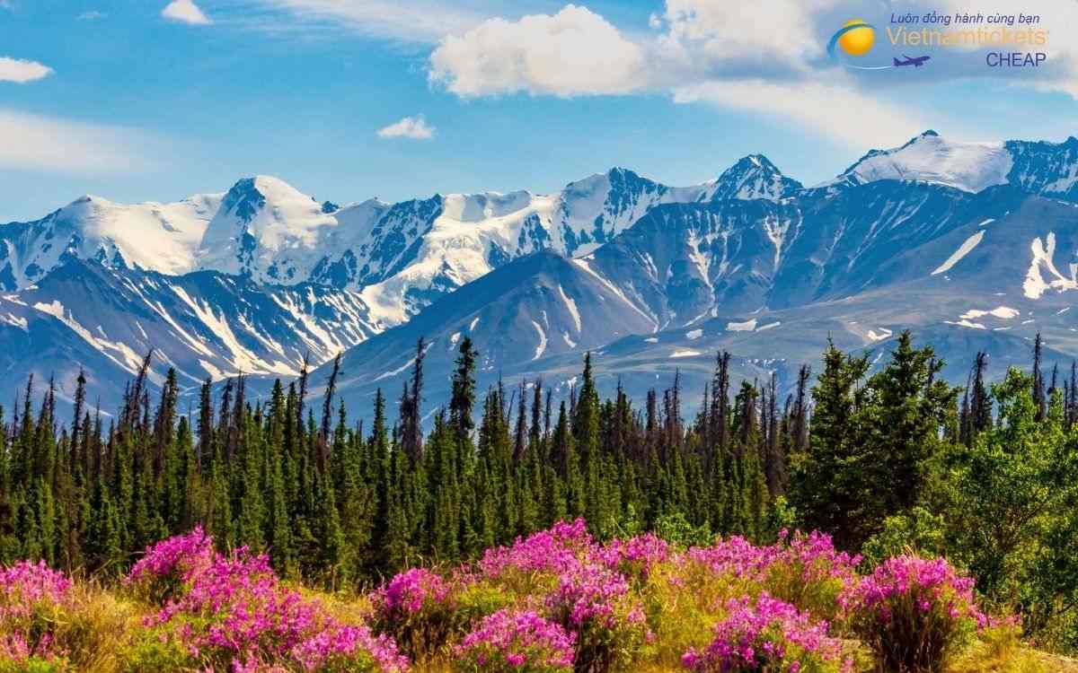 Giá vé máy bay đi Yukon