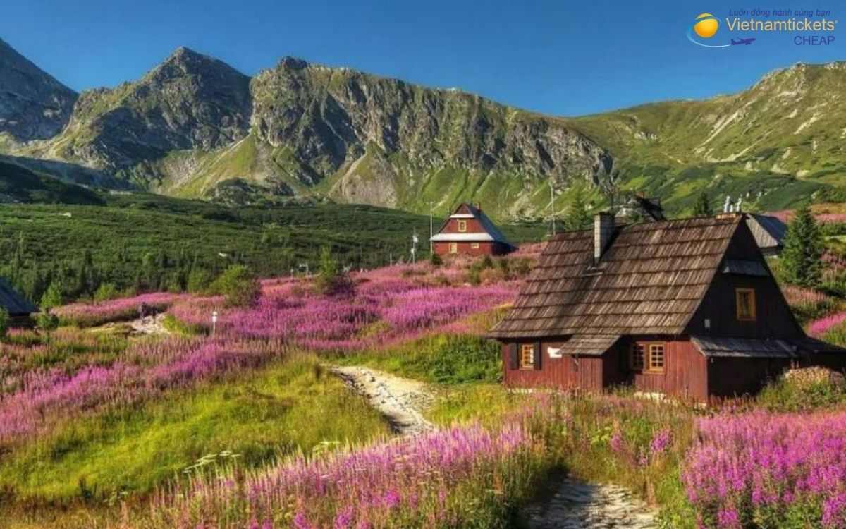 Cách chọn lịch bay đến Zakopane
