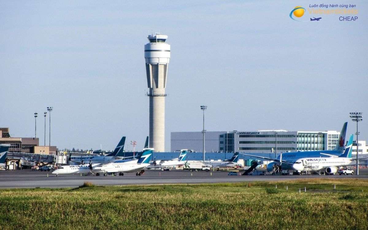 Hãng nào bay chặng Hà Nội Calgary hiện nay