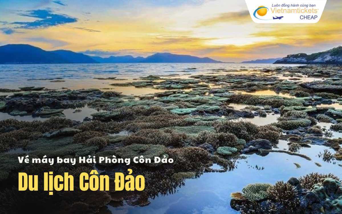 Du lịch Hải Phòng Côn Đảo