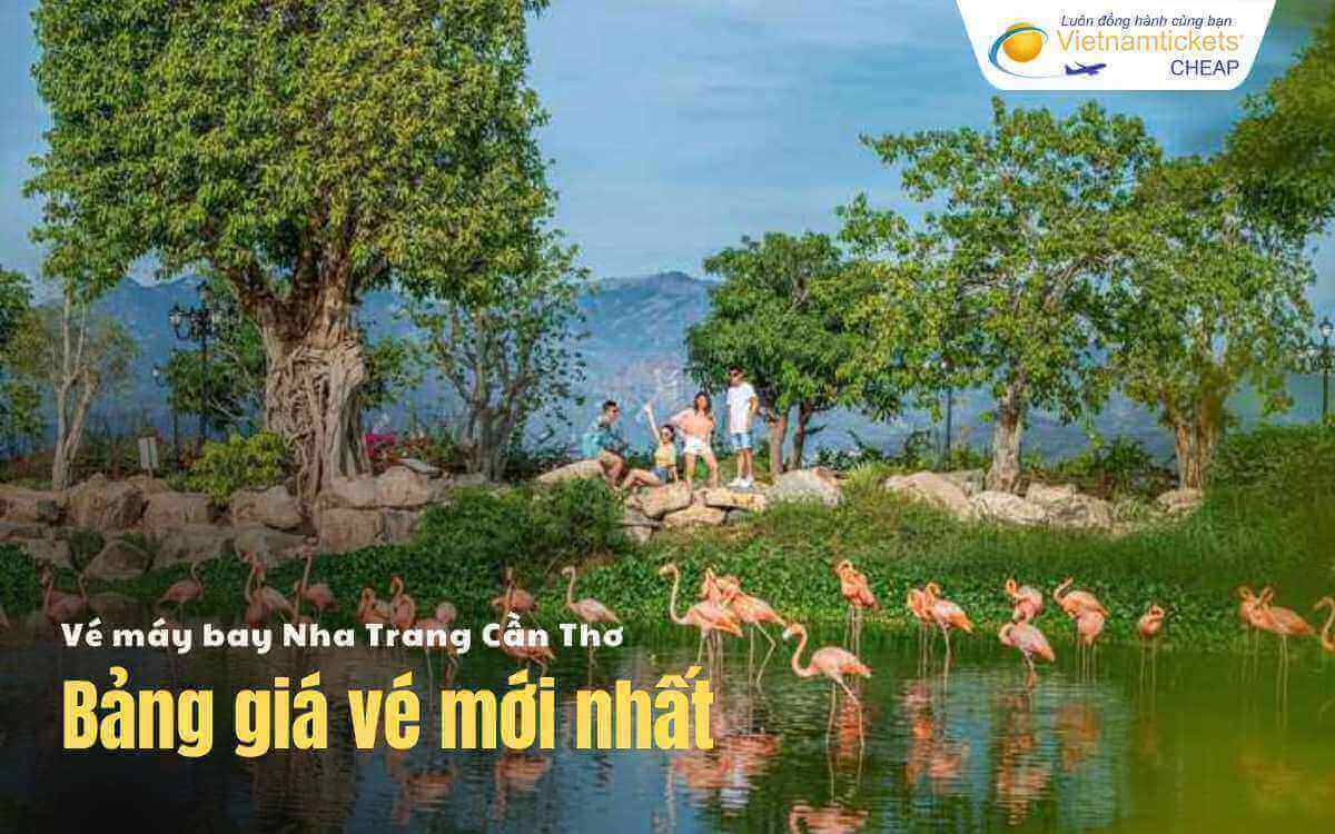 Bảng gi&aacute; v&eacute; m&aacute;y bay Nha Trang Cần Thơ