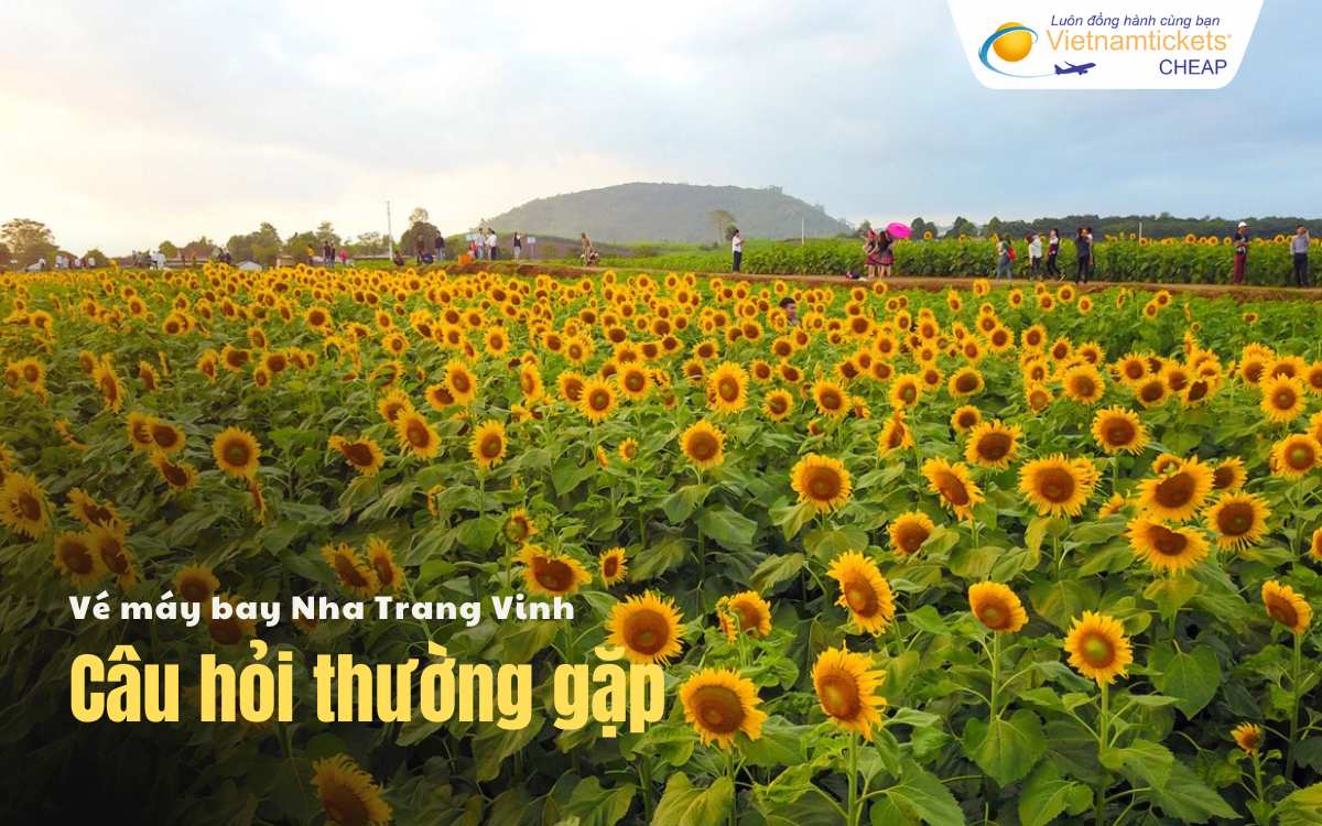 Câu hỏi thường gặp Nha Trang Vinh