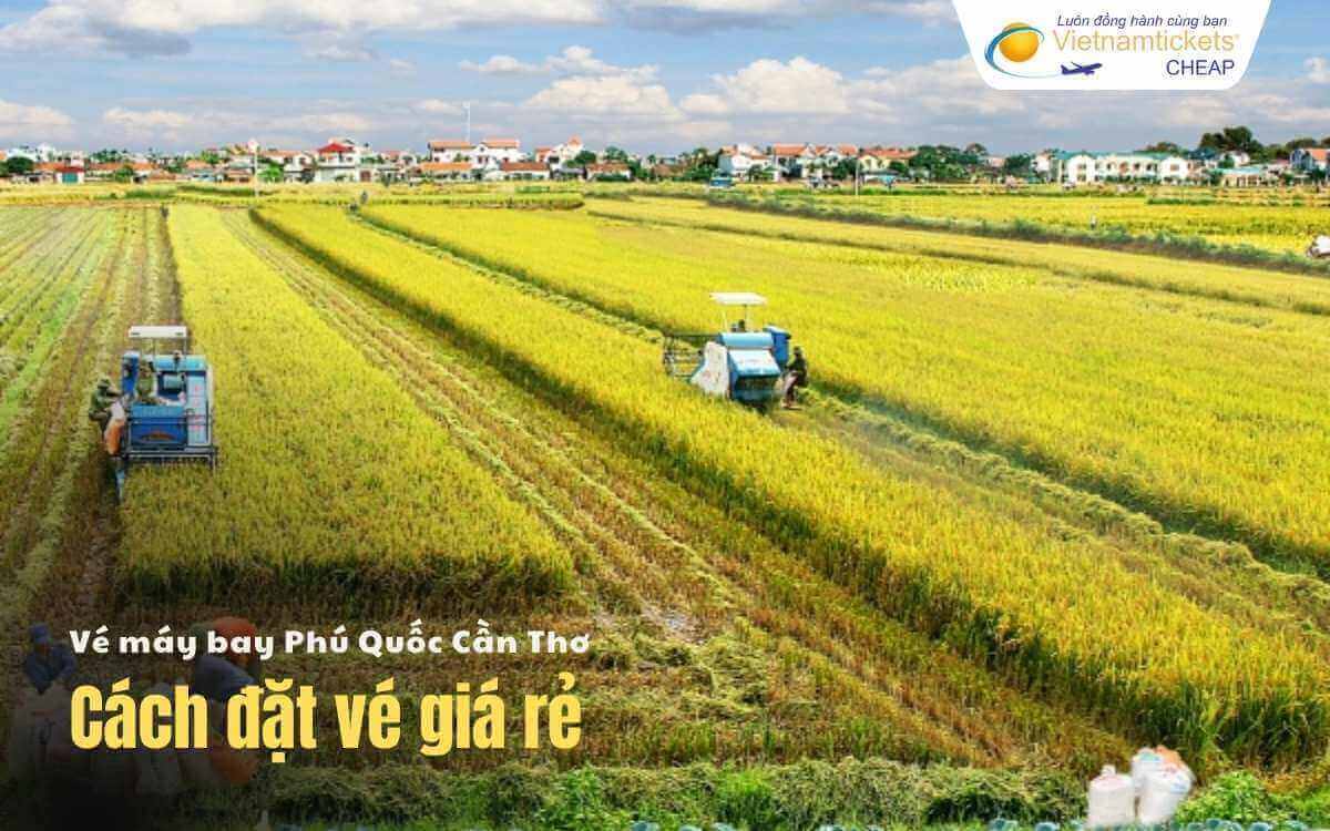 Cách đặt vé Phú Quốc Cần Thơ